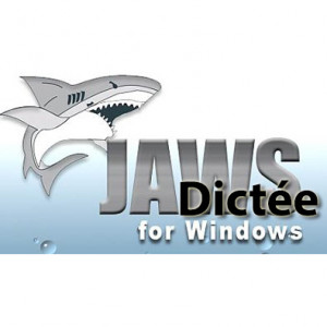 Logiciel accessible JAWS Dictée pour Dragon Naturally Speaking